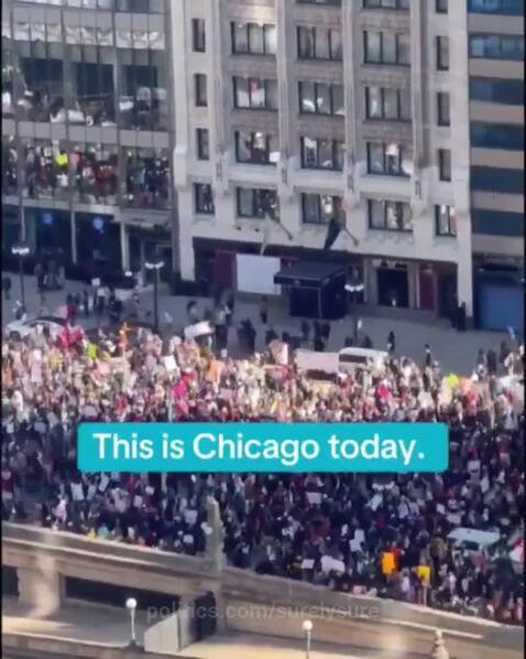 surelysure's post preview (protest)