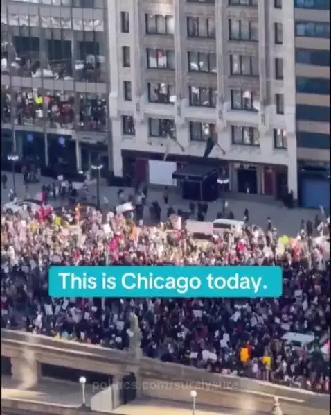 surelysure's post preview (protest)